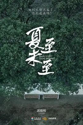 《夏至未至》：青春疼痛文学的巅峰之作，结局让人直呼‘意难平’！