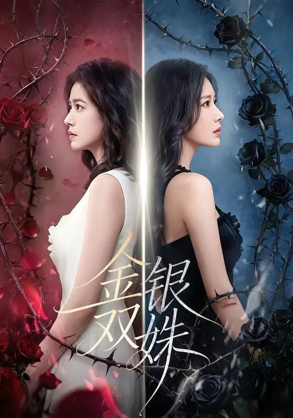 《金银双姝》：姐妹恩怨纠葛，暗流涌动下的豪门血雨腥风！