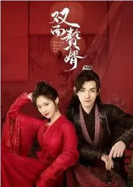《双面赘婿》：奇幻甜宠？我看是‘赘婿’的‘上位指南’！