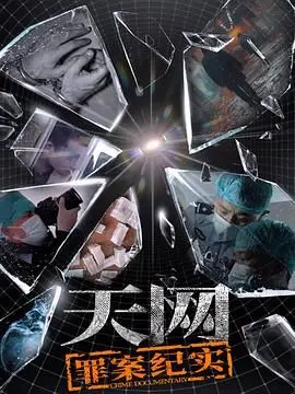 电影《天网：罪案纪实》深度解说：真实罪案改编背后的灵魂拷问与人性深渊